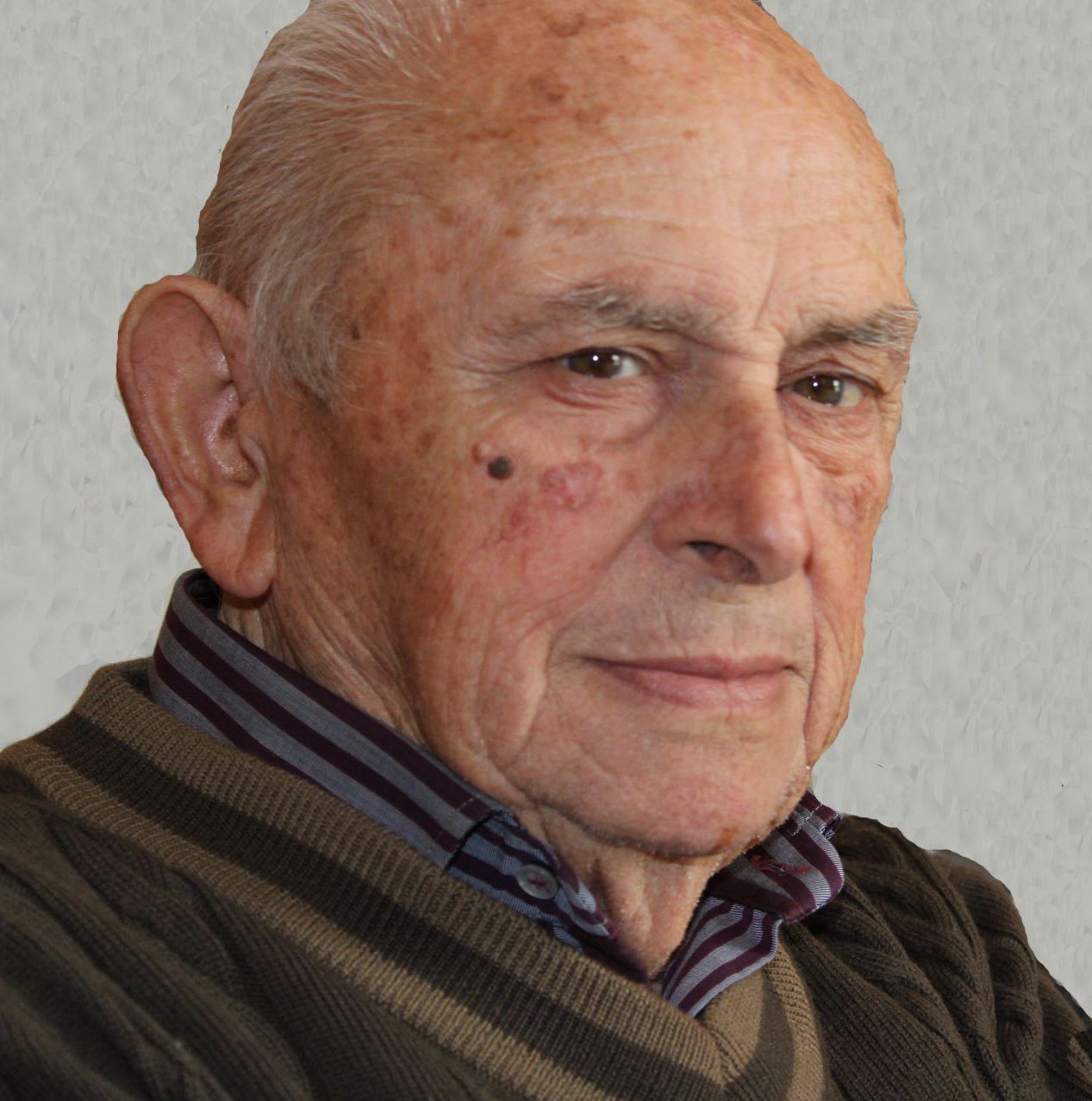naso bruno