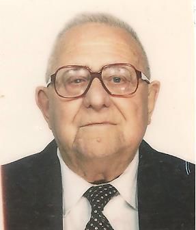 foto delfino