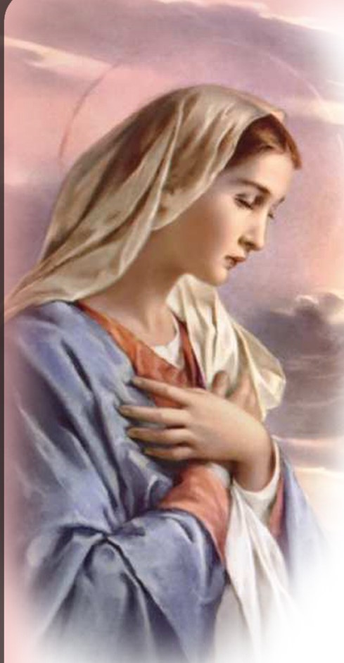 madonna rosa