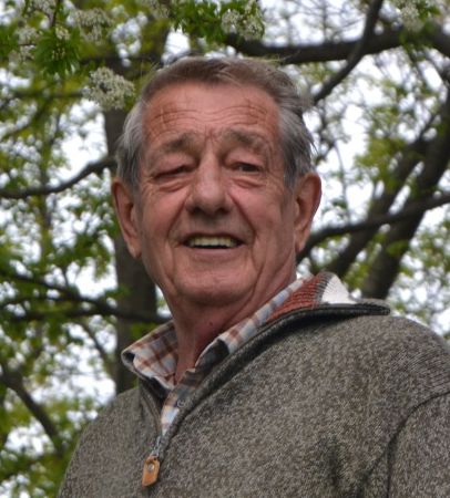 foto domenico