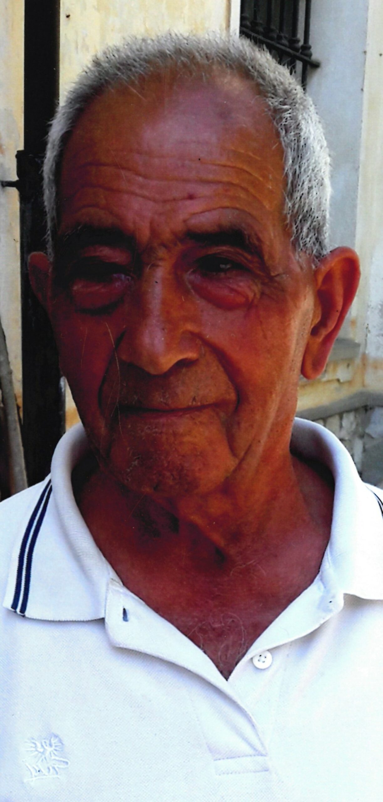 Conforti Vincenzo