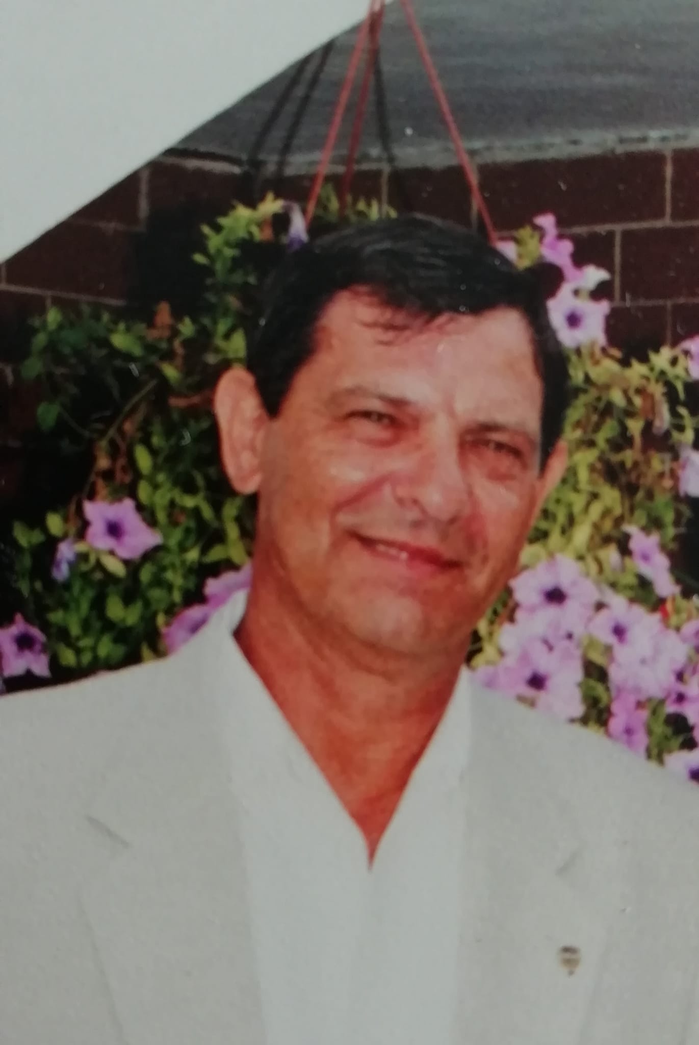 TREVISAN