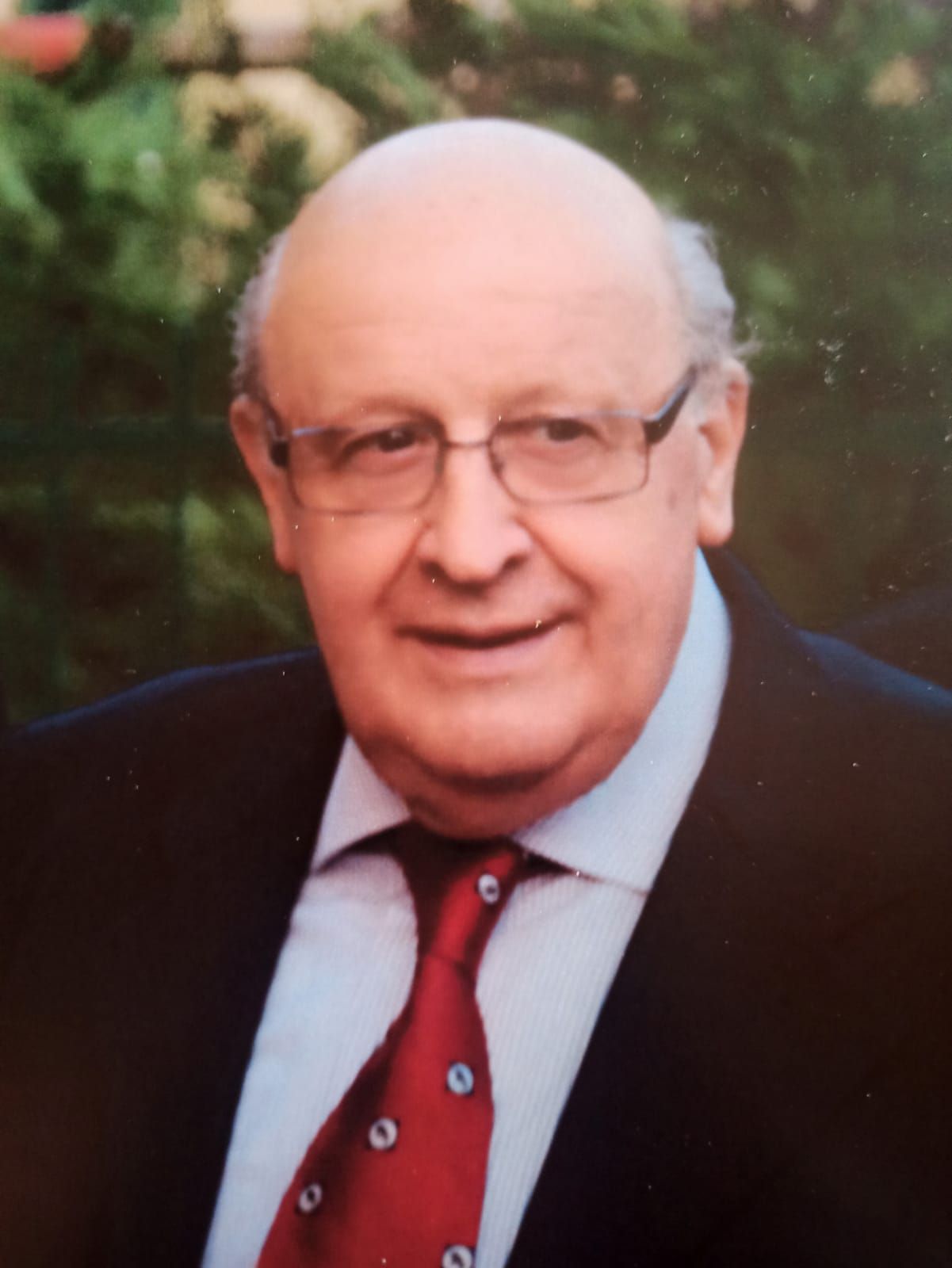 foto viglizzo
