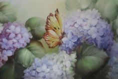 ORTENSIE3