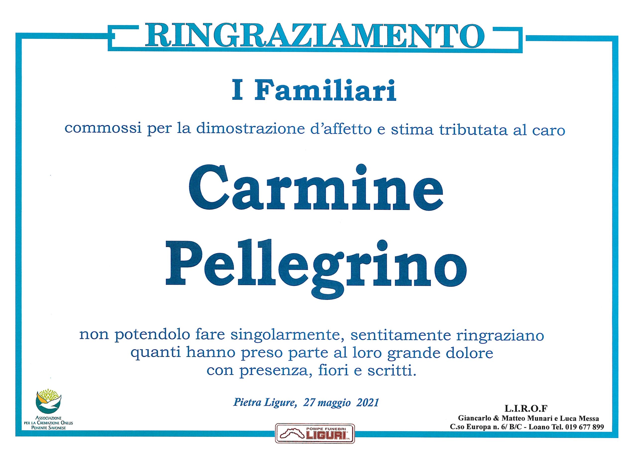 RING. PELLEGRINO