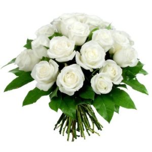 rose-bianche-300×300